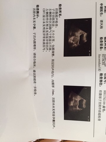 journal_insert_pic_524308759