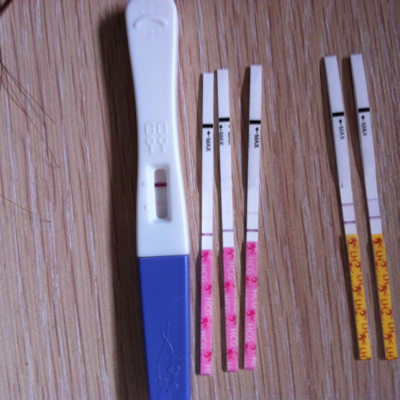 journal_insert_pic_524345564
