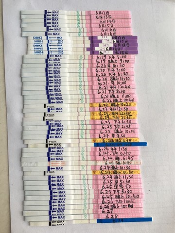 journal_insert_pic_525146533