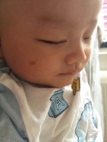 journal_insert_pic_525932565