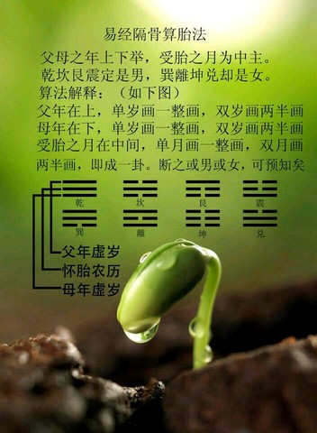 journal_insert_pic_527586610