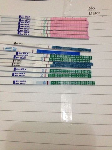 journal_insert_pic_528298541