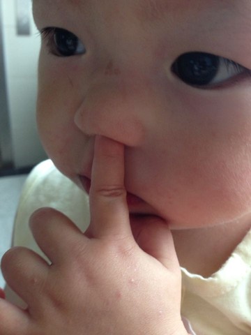 journal_insert_pic_528958516