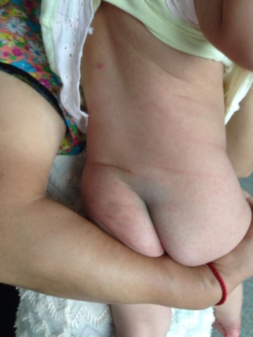 journal_insert_pic_528958632