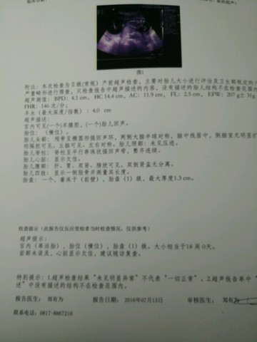 journal_insert_pic_528906088