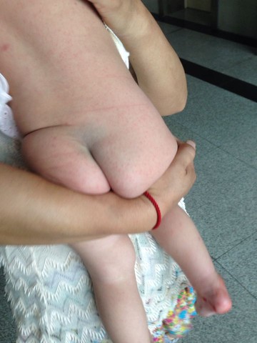 journal_insert_pic_528958640