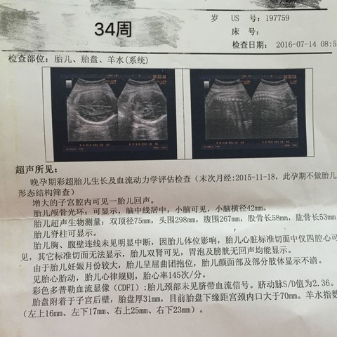 journal_insert_pic_530145993