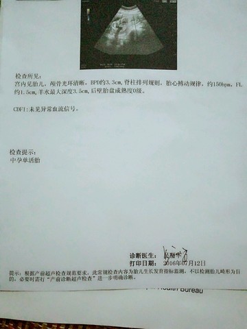 journal_insert_pic_530098148