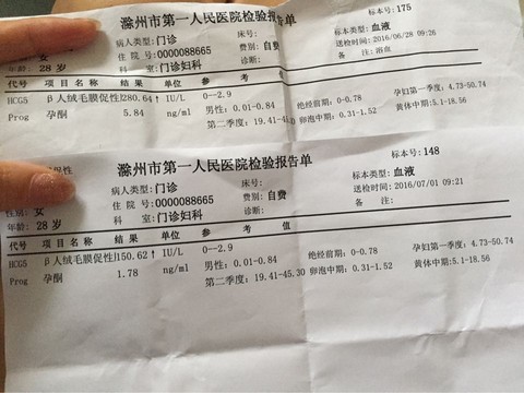 journal_insert_pic_530843140