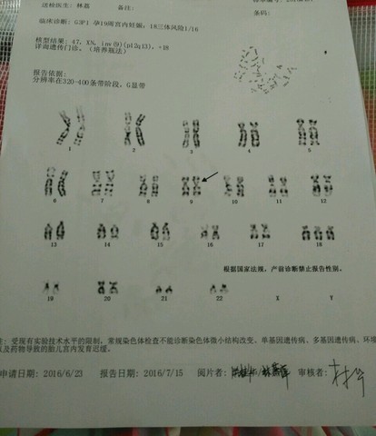 journal_insert_pic_531226638