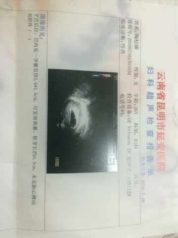 journal_insert_pic_532021344