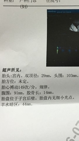 journal_insert_pic_533808839