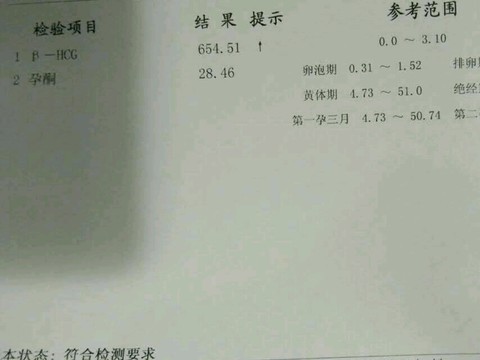 journal_insert_pic_533791633