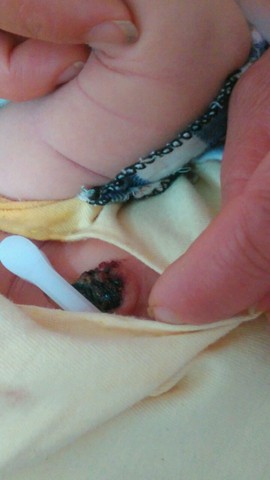 journal_insert_pic_533563416