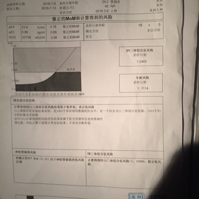 journal_insert_pic_533707035