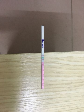 journal_insert_pic_534675286