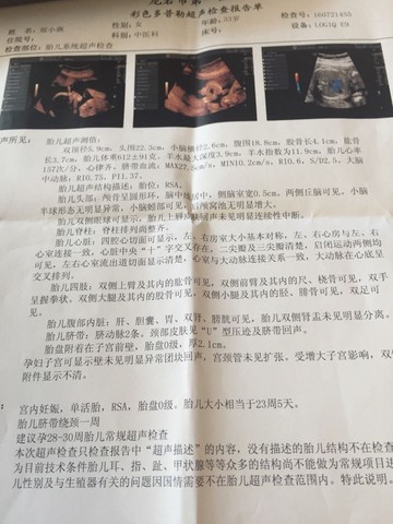 journal_insert_pic_534389901