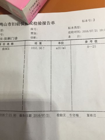 journal_insert_pic_534338184