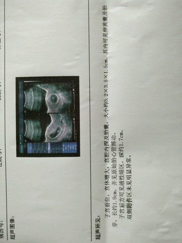 journal_insert_pic_535793517