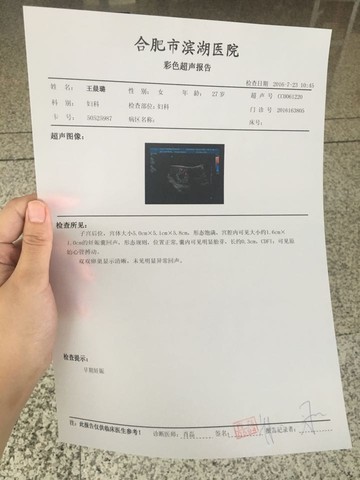 journal_insert_pic_536070238