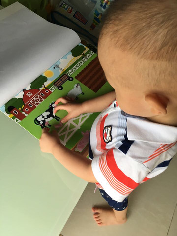 journal_insert_pic_535613530