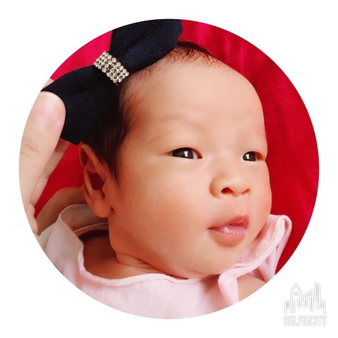 journal_insert_pic_538514943