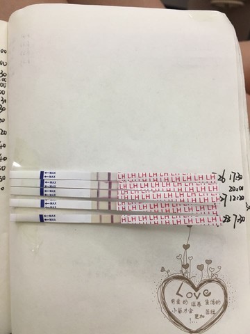 journal_insert_pic_539787163
