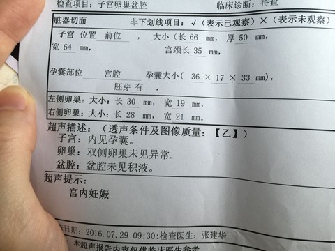 journal_insert_pic_540364657