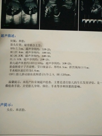 journal_insert_pic_540953227
