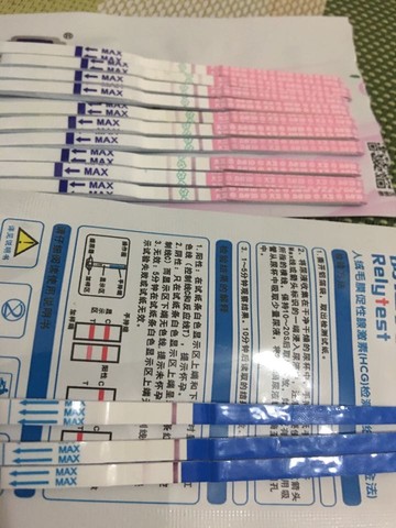 journal_insert_pic_540899421