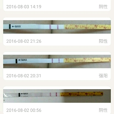 journal_insert_pic_543693704