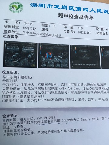 journal_insert_pic_545854575