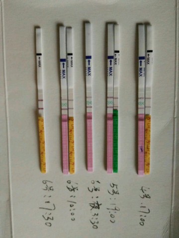 journal_insert_pic_545893297