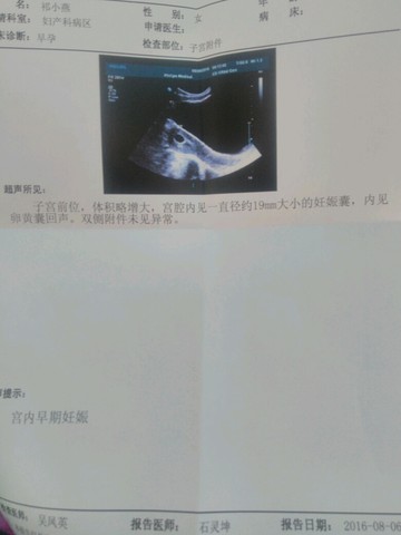 journal_insert_pic_545837814