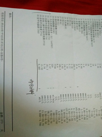 journal_insert_pic_546266126