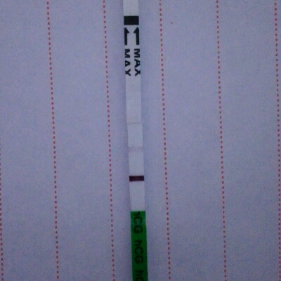journal_insert_pic_554149929