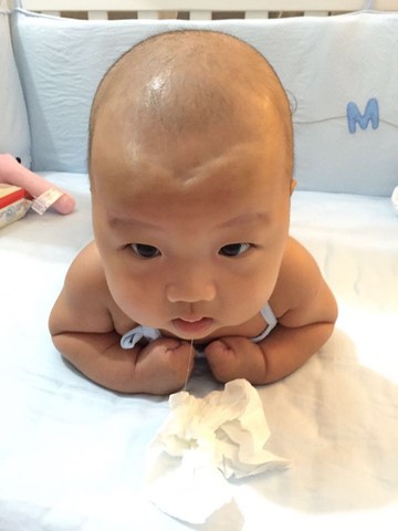 journal_insert_pic_559560775