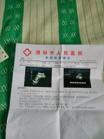 journal_insert_pic_561599356