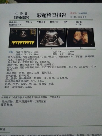 journal_insert_pic_567445576