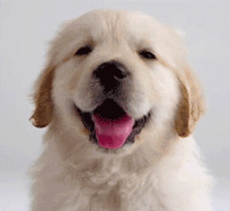 六个月了突然开始恶心,想吐