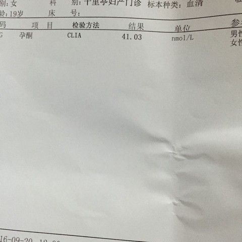 journal_insert_pic_574855193