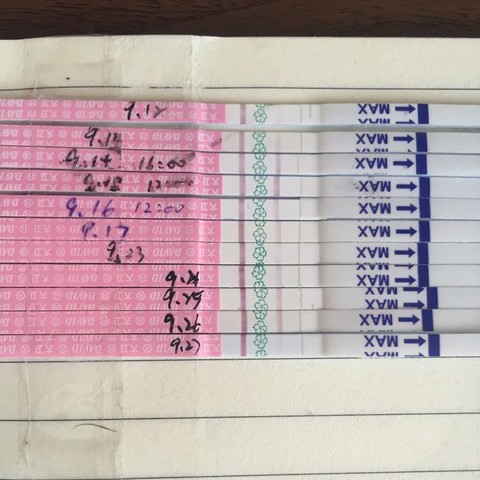 journal_insert_pic_578700011