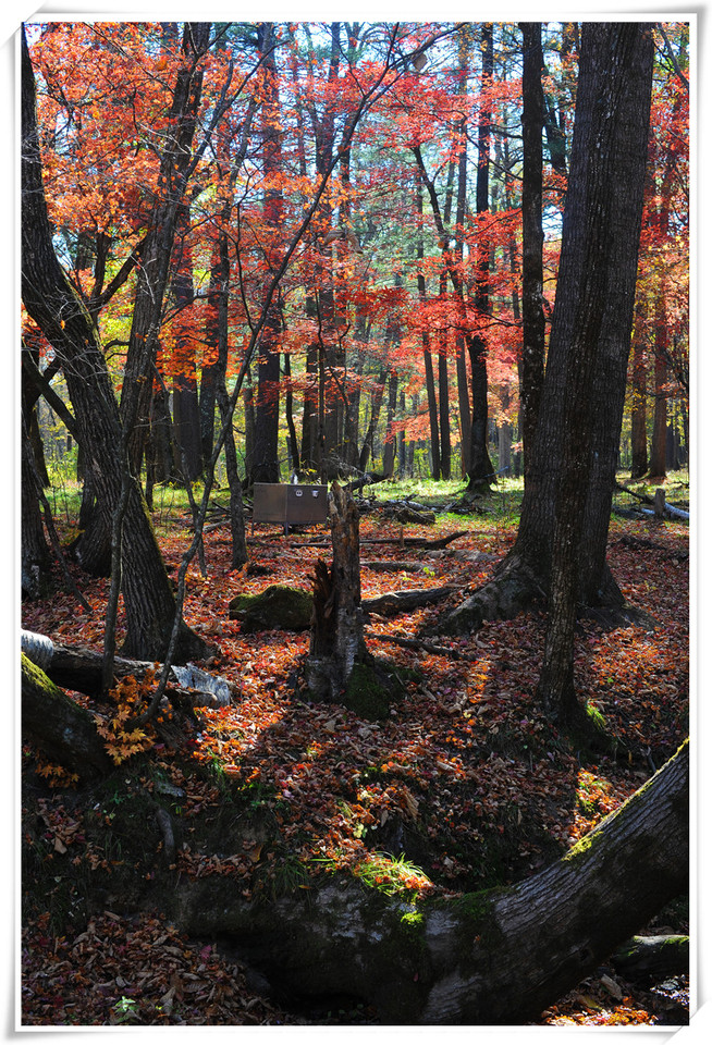 journal_insert_pic_578754581