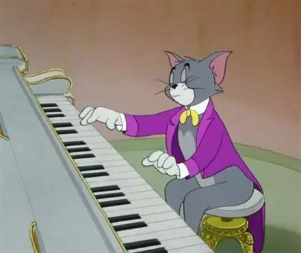说到猫咪弹钢琴,或许你首先会想到动画片《猫和老鼠》里的汤姆猫,但我