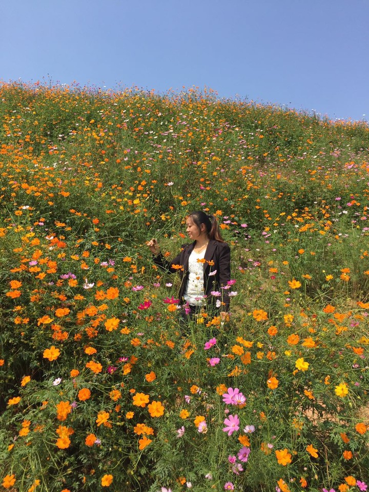 journal_insert_pic_587157550