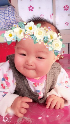 journal_insert_pic_609125591