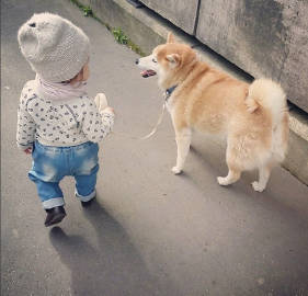 journal_insert_pic_639591528