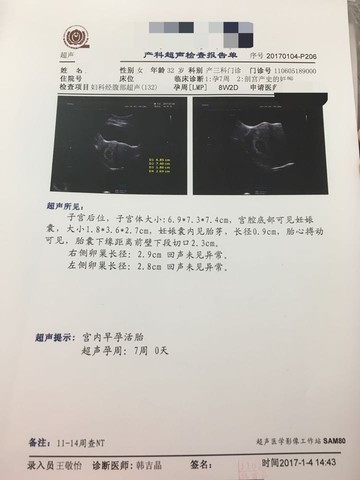 journal_insert_pic_641295859