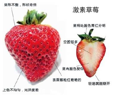 journal_insert_pic_653092256