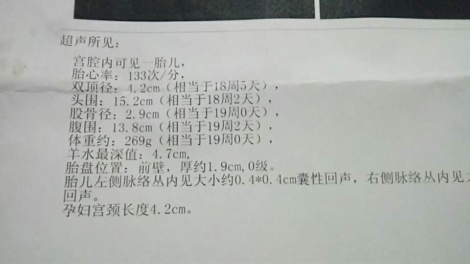 journal_insert_pic_689609632
